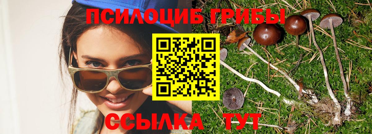 Псилоцибиновые грибы Magic Shrooms Кирово-Чепецк